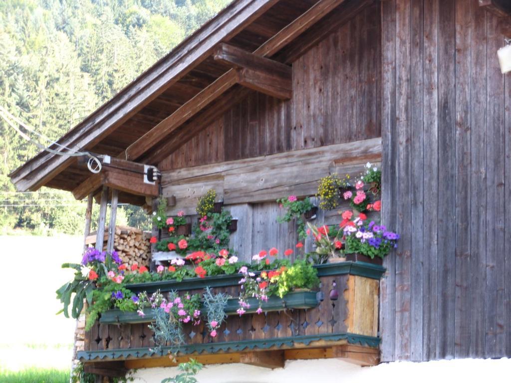 Gasthaus Landgasthof Ledererwirt Ebbs Exterior foto